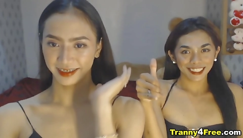 Busty shemale gets her nipples licked and fucked in reverse