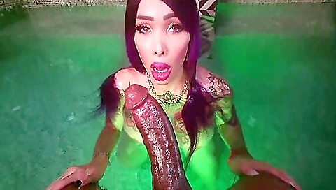 Big ass bitch giving a blowjob to a big black cock