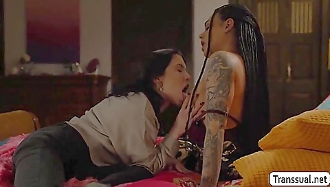 Brunette girl gets anal and gets fucked hard all in one video